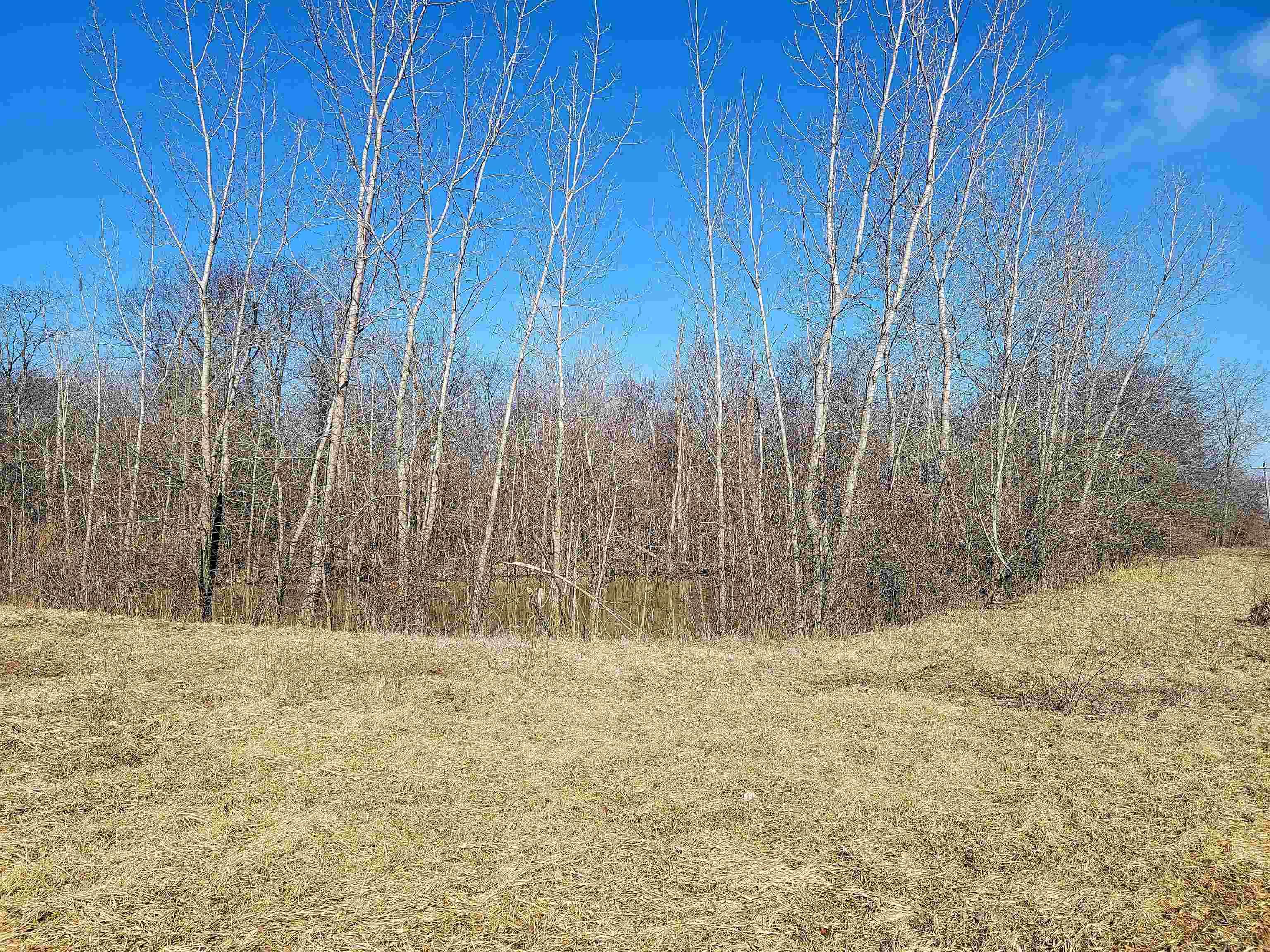 6514 Morgan Road Monroeville, IN 46773 - Photo 6 of 7