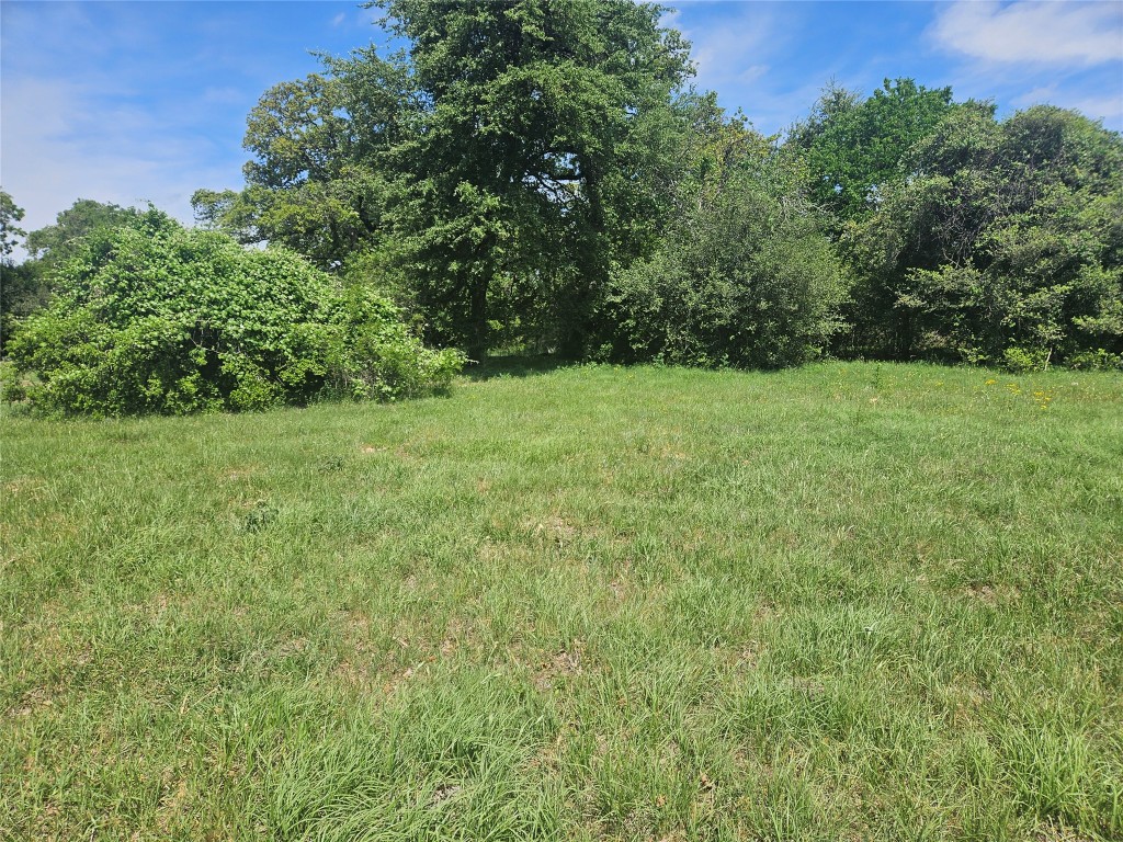 a view of a field with trees in the background