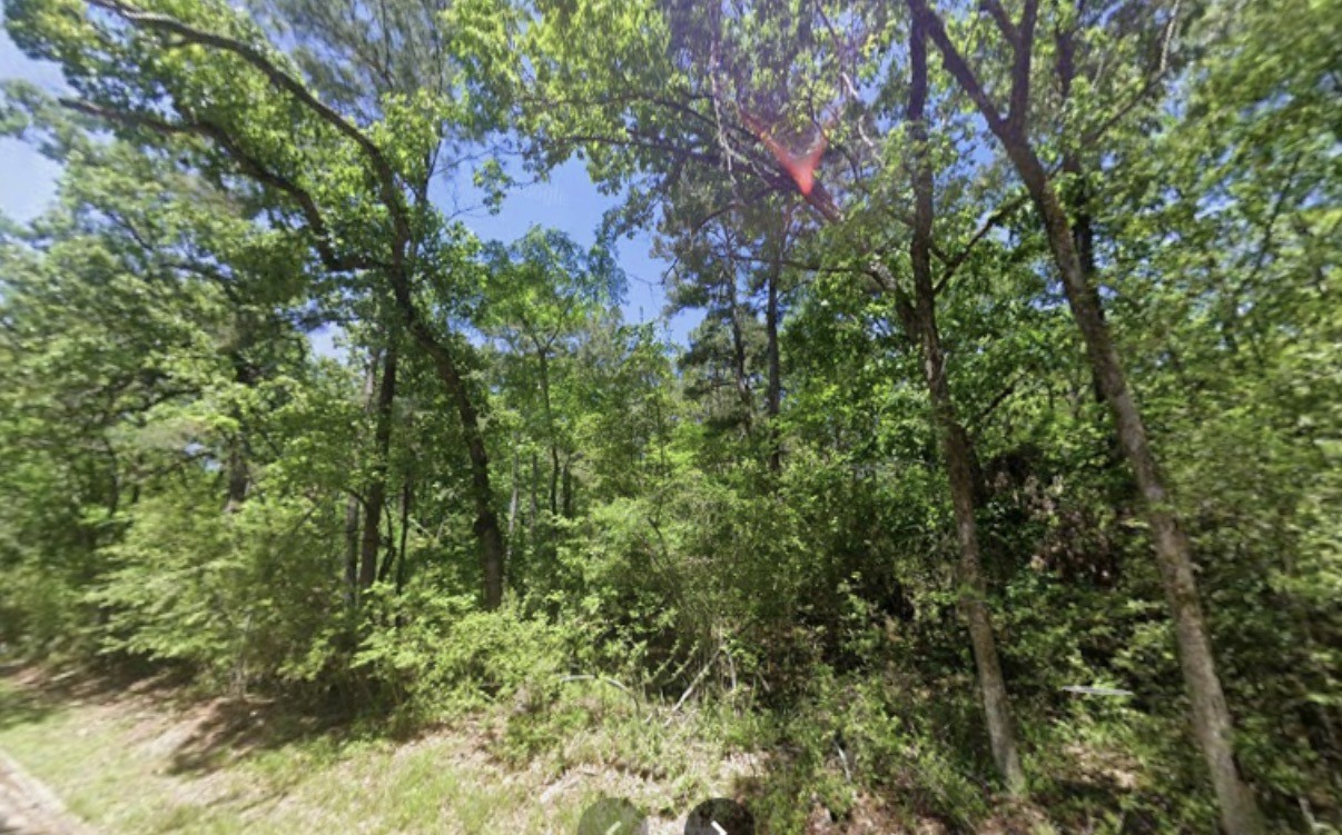 Tbd Bay Hill Road Point Blank, TX 77364 - Photo 5 of 9 a view of a forest