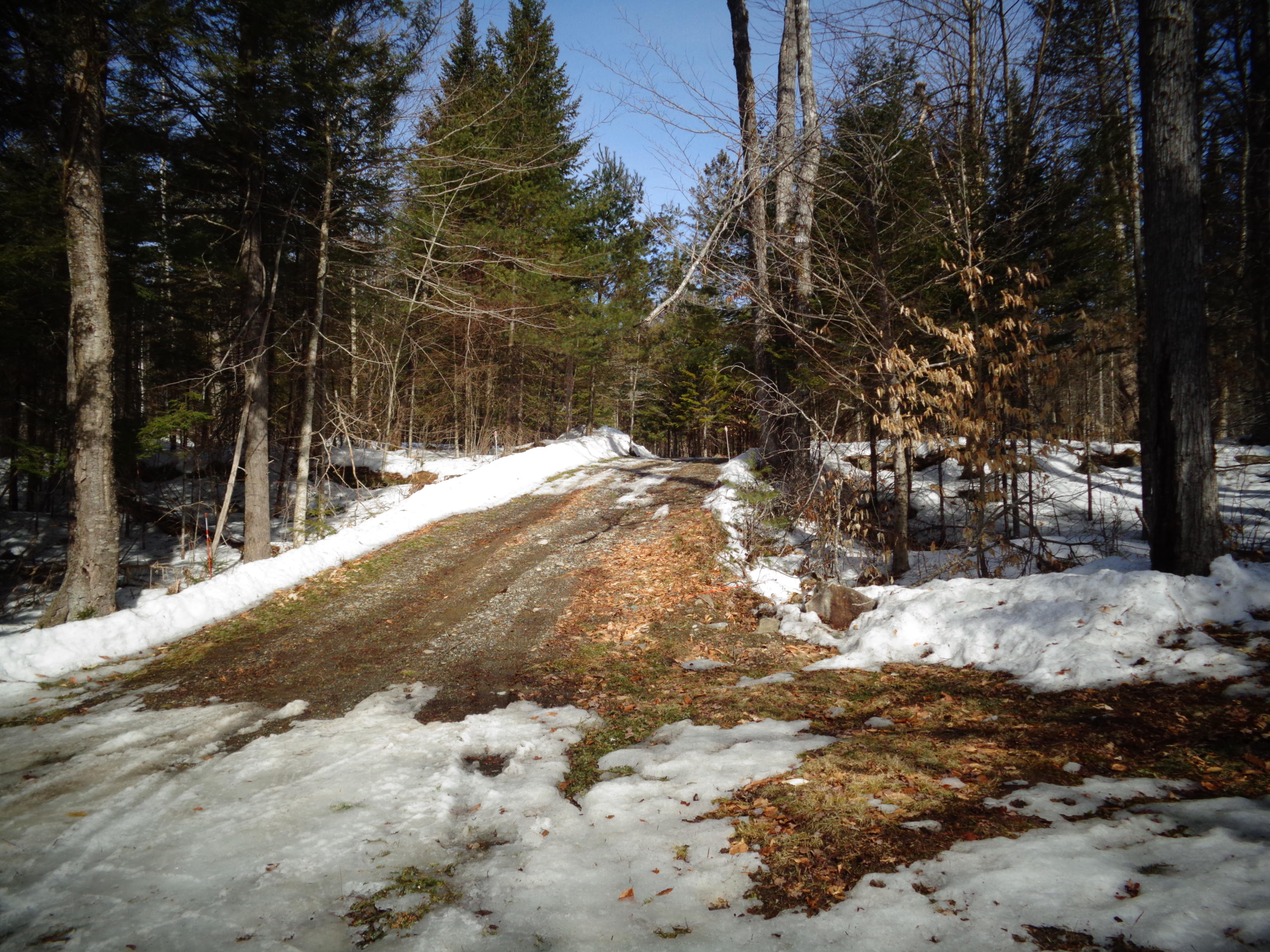 2 Newell Cove Road Dover-Foxcroft, ME 04426 - Photo 42 of 42 DSC04297