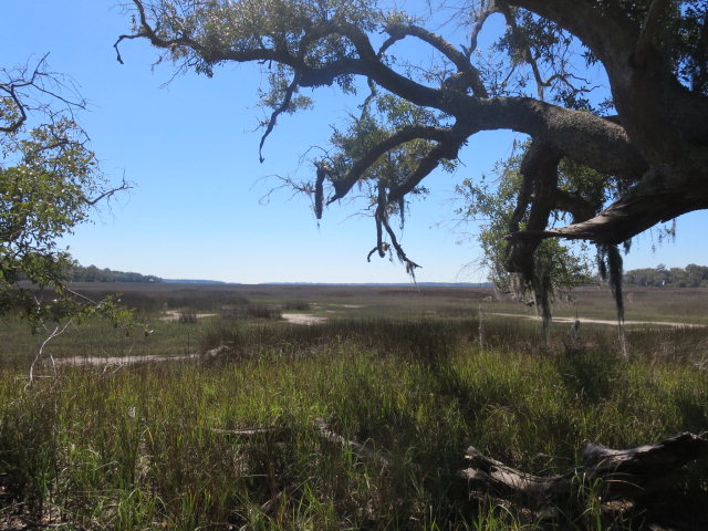 38 Coopers Point Drive Northeast Townsend, GA 31331 - Photo 5 of 6