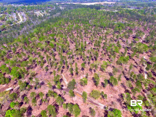 0 South Grand Bay Wilmer Road Wilmer, AL 36587 - Photo 16 of 18