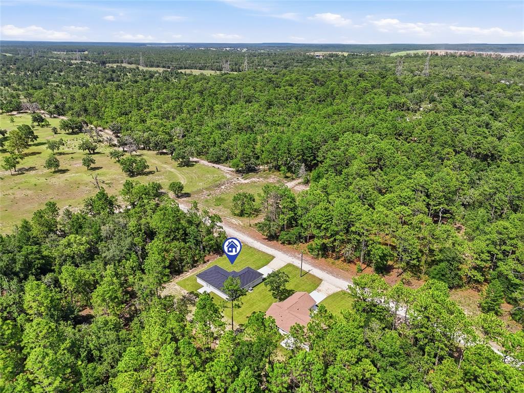 16335 Force Road Weeki Wachee, FL 34614 - Photo 47 of 54