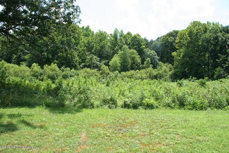 313 Beech Grv Road Shepherdsville, KY 40165 - Photo 74 of 92 IMG_5103
