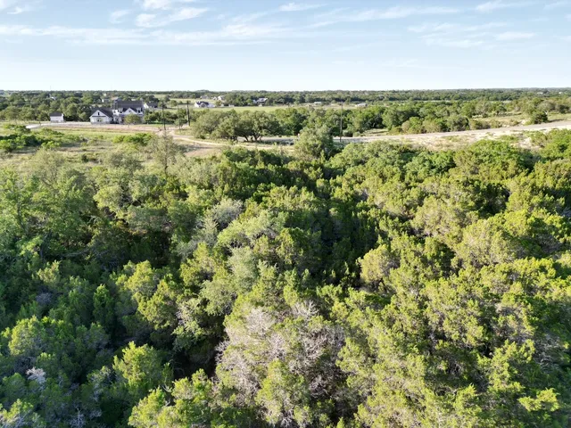 a view of a city with lush green forest