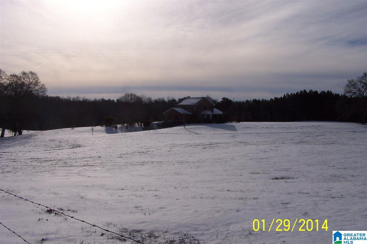 3258 Youngs Mill Road Lineville, AL 36266 - Photo 43 of 50