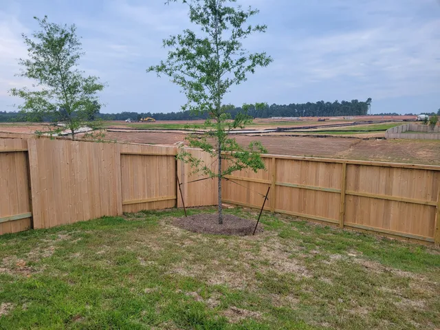 a view of a backyard with lake view and a large tree