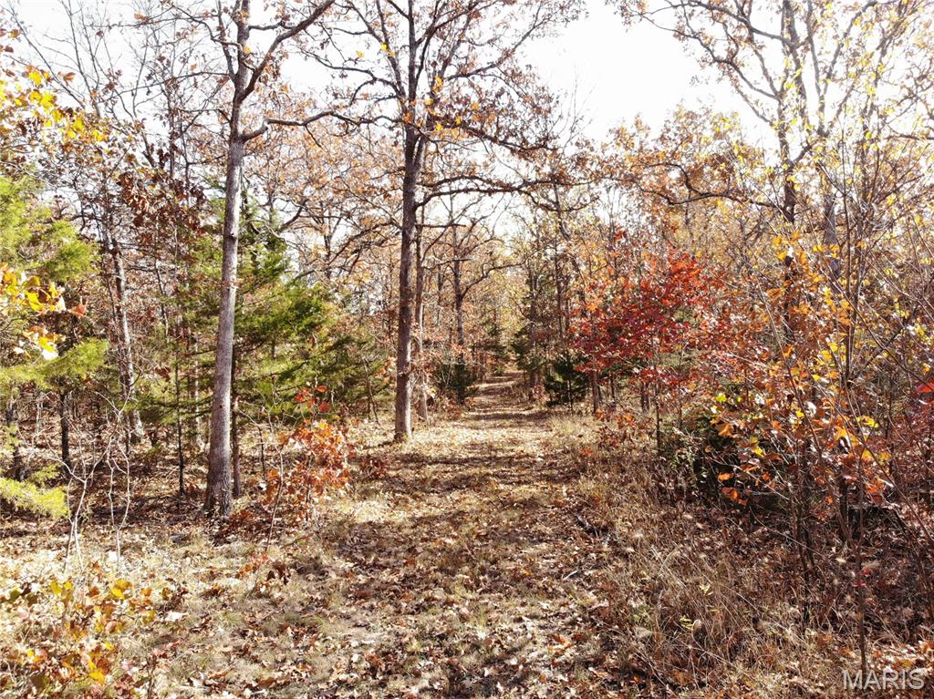 100 Rottie Lane Cuba, MO 65453 - Photo 19 of 31