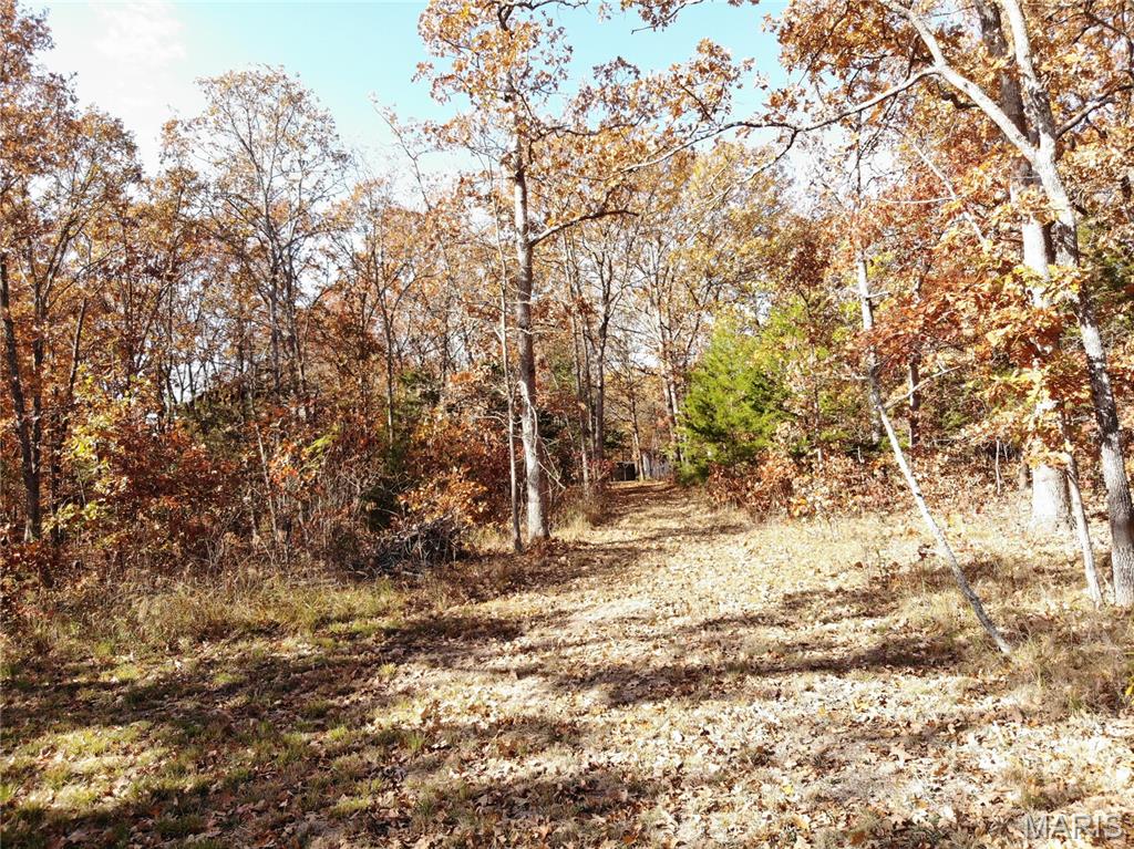 100 Rottie Lane Cuba, MO 65453 - Photo 20 of 31