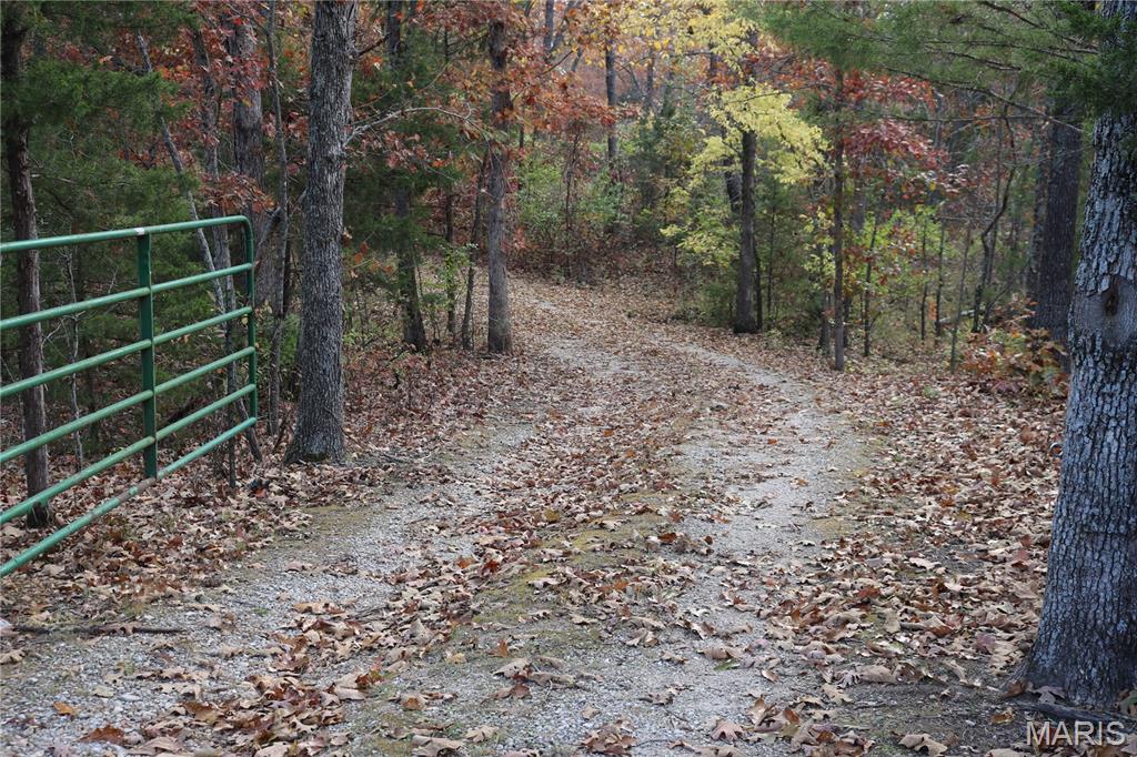 100 Rottie Lane Cuba, MO 65453 - Photo 2 of 31