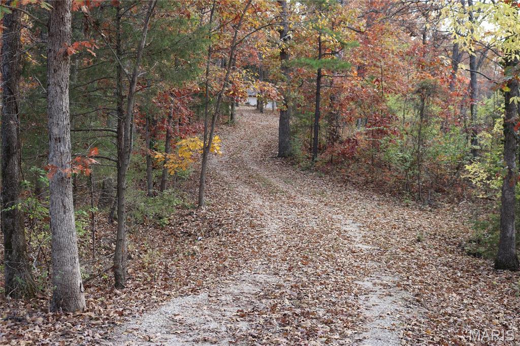 100 Rottie Lane Cuba, MO 65453 - Photo 3 of 31