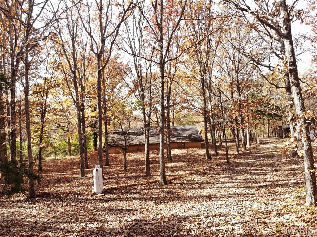 100 Rottie Lane Cuba, MO 65453 - Photo 6 of 31