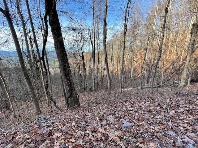 Lot 73 Hidden Treasure Murphy, NC 28906 - Photo 4 of 26