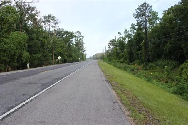 $31,000 | 0 Hwy 190 Road, Albany, LA 70711