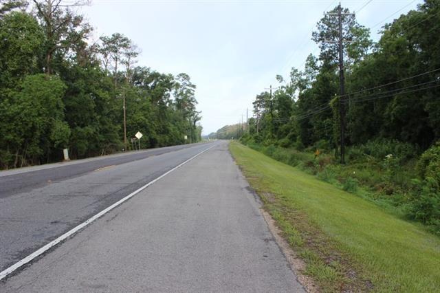 0 Hwy 190 Road Albany, LA 70711 - Photo 2 of 8