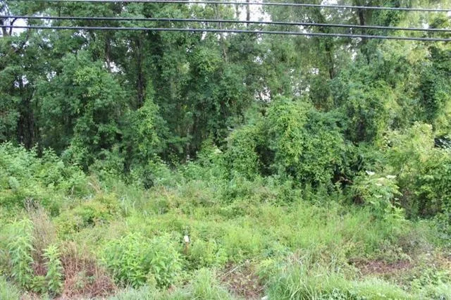 $31,000 | 0 Hwy 190 Road, Albany, LA 70711