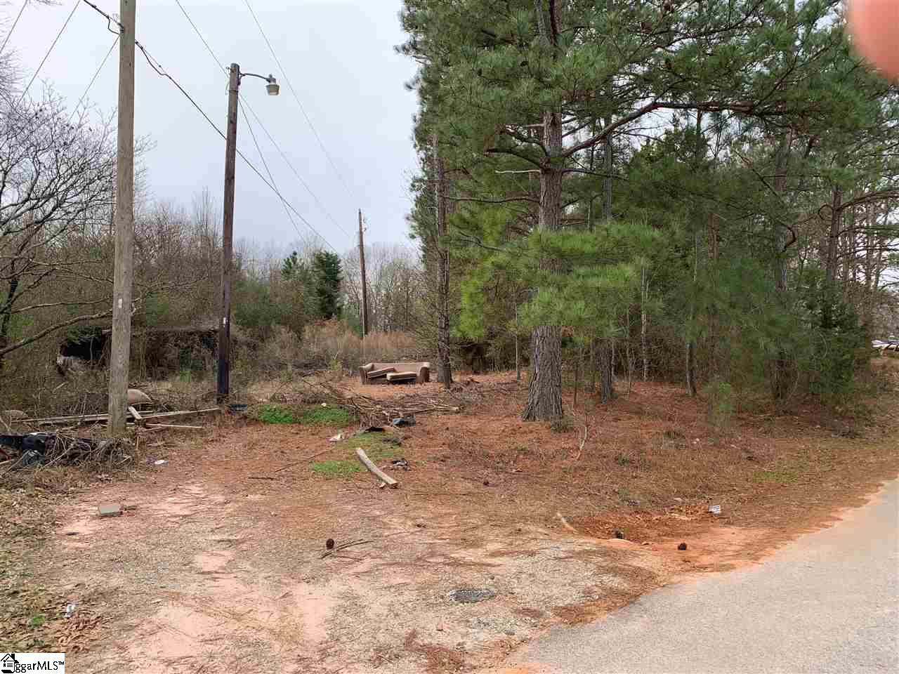 Ancient Way Greenville, SC 29607 - Photo 1 of 3 Power Line Poles run along property Line