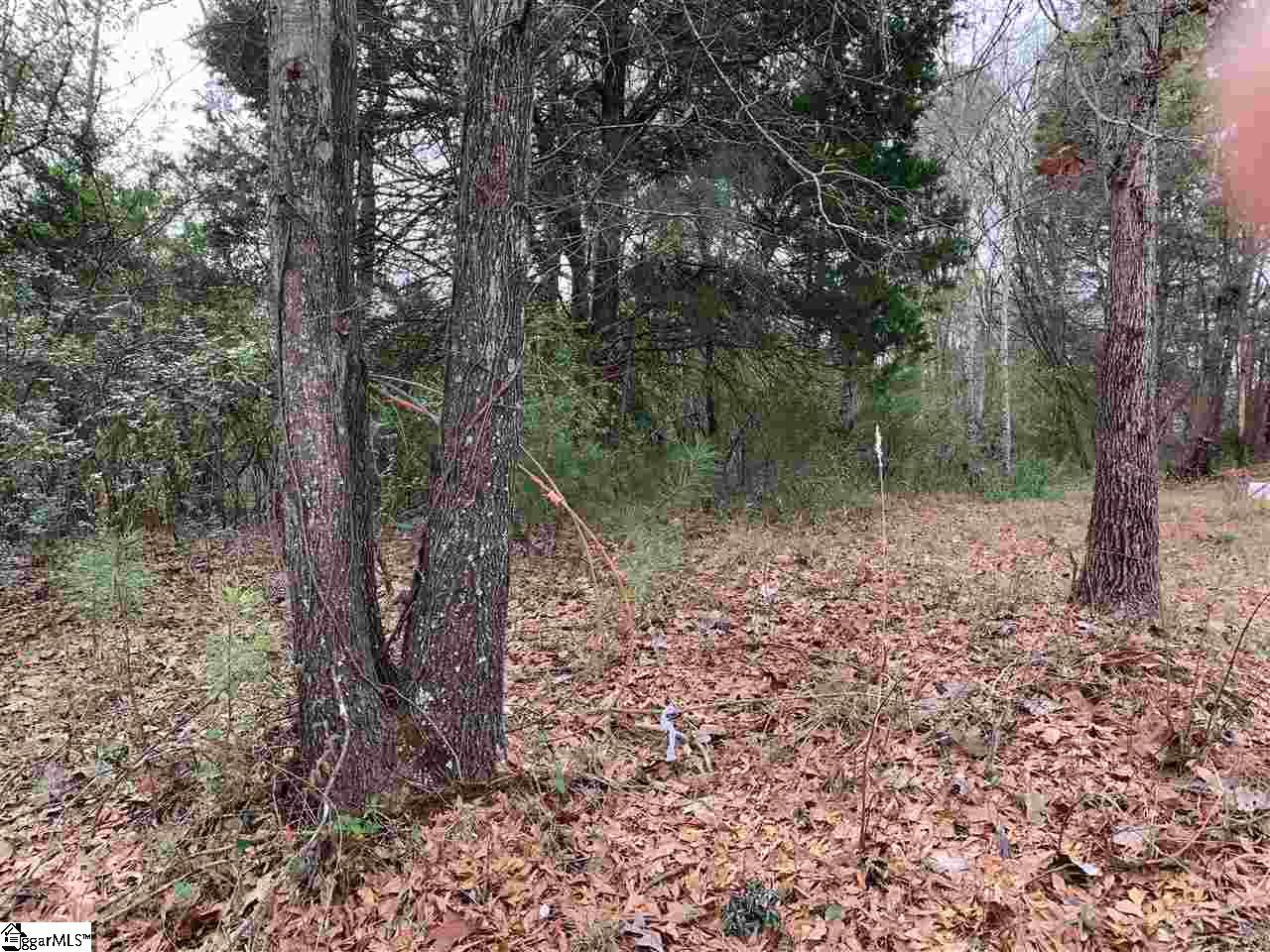 Ancient Way Greenville, SC 29607 - Photo 2 of 3 Property Line runs quite close to back of 10 Ancient Way Home.