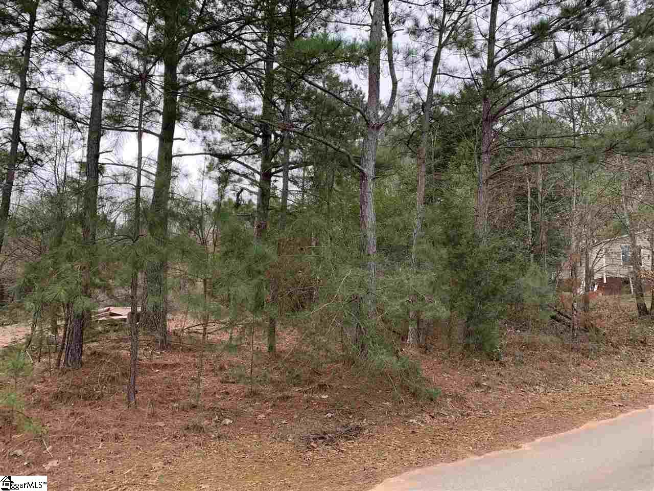 Ancient Way Greenville, SC 29607 - Photo 3 of 3