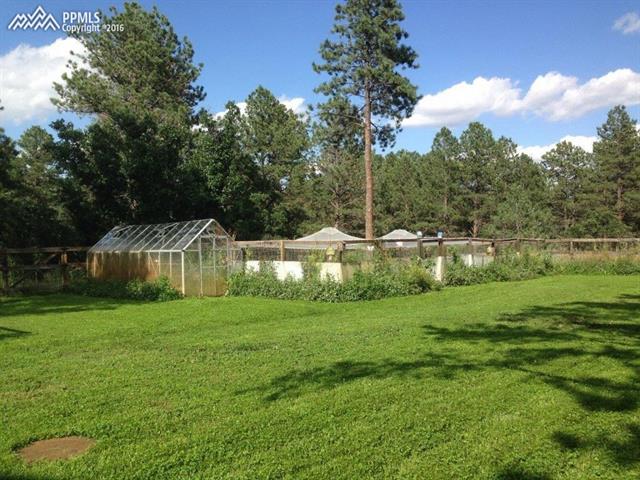 1650 Timber Valley Road Colorado Springs, CO 80919 - Photo 3 of 6 The Greenhouse and garden with the hail netting that stays with the garden. Clover was planted here in the backyard because it takes 1/10th the amount of water and you mow it way less then grass!