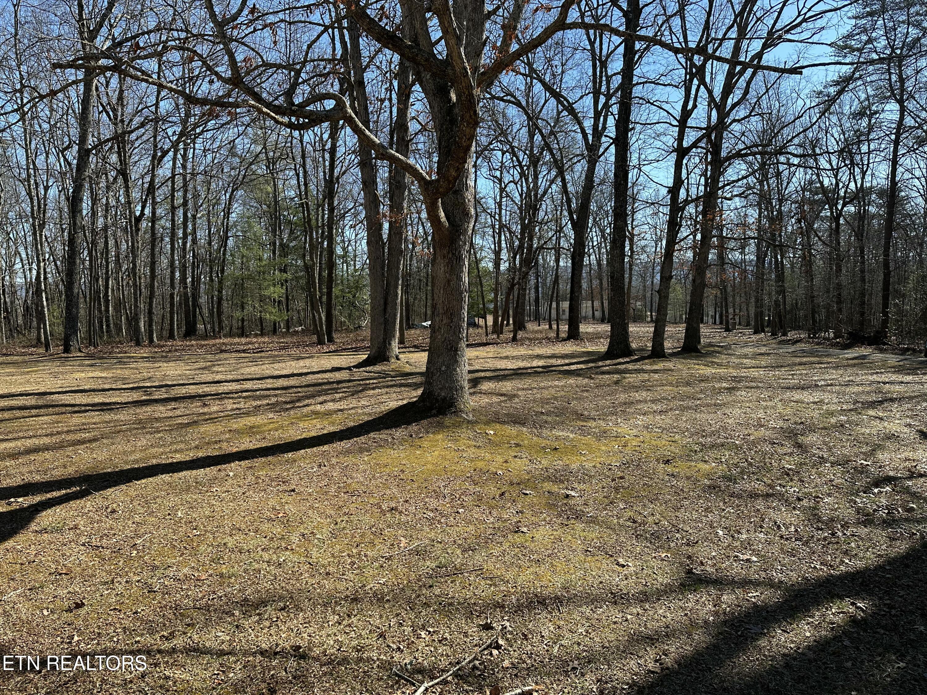 267 Eli Ford Road Crossville, TN 38571 - Photo 51 of 56 IMG_0814