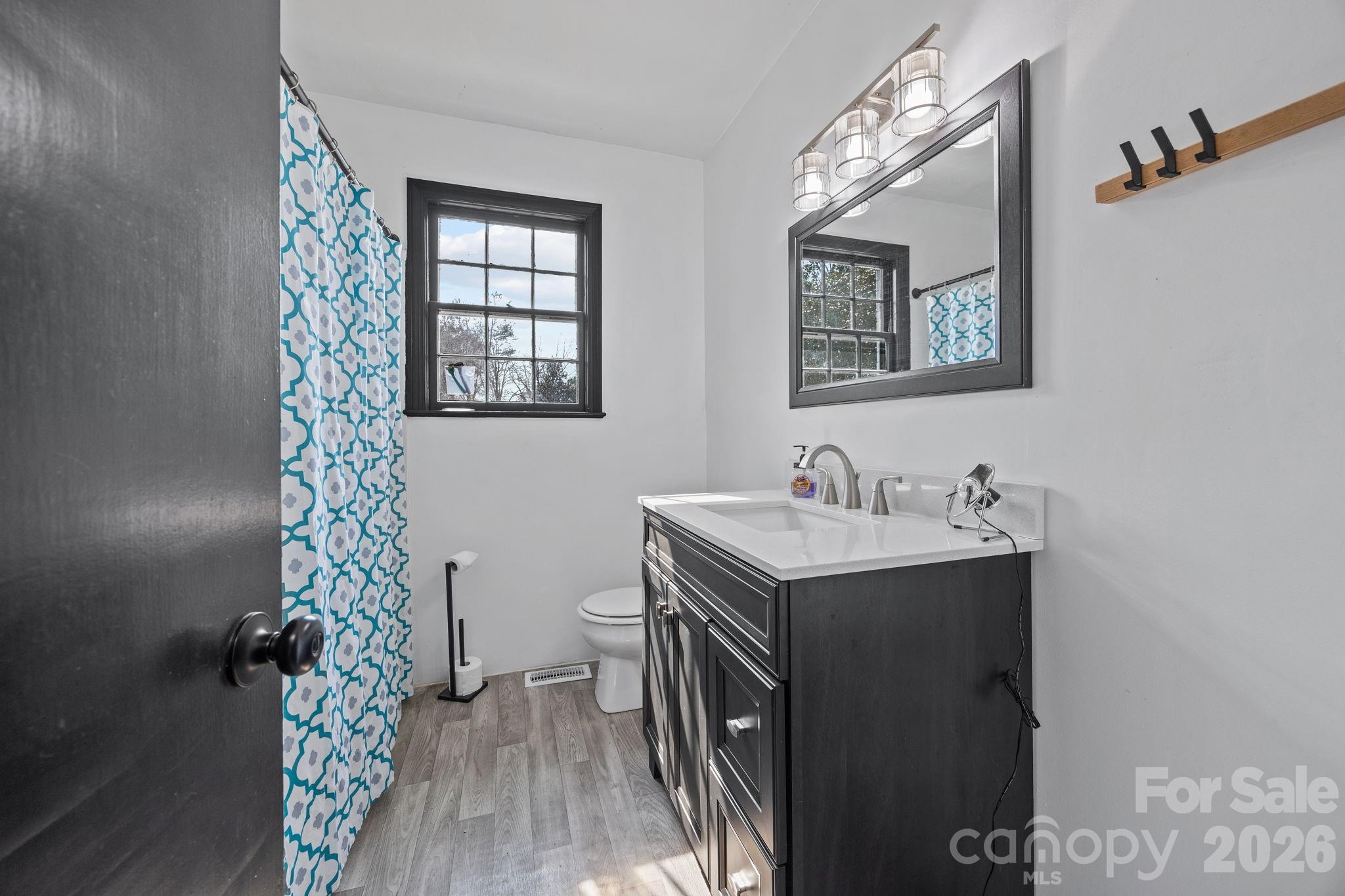 1352 City Lake Road Lexington, NC 27295 - Photo 14 of 36 a bathroom with a sink a mirror and a toilet