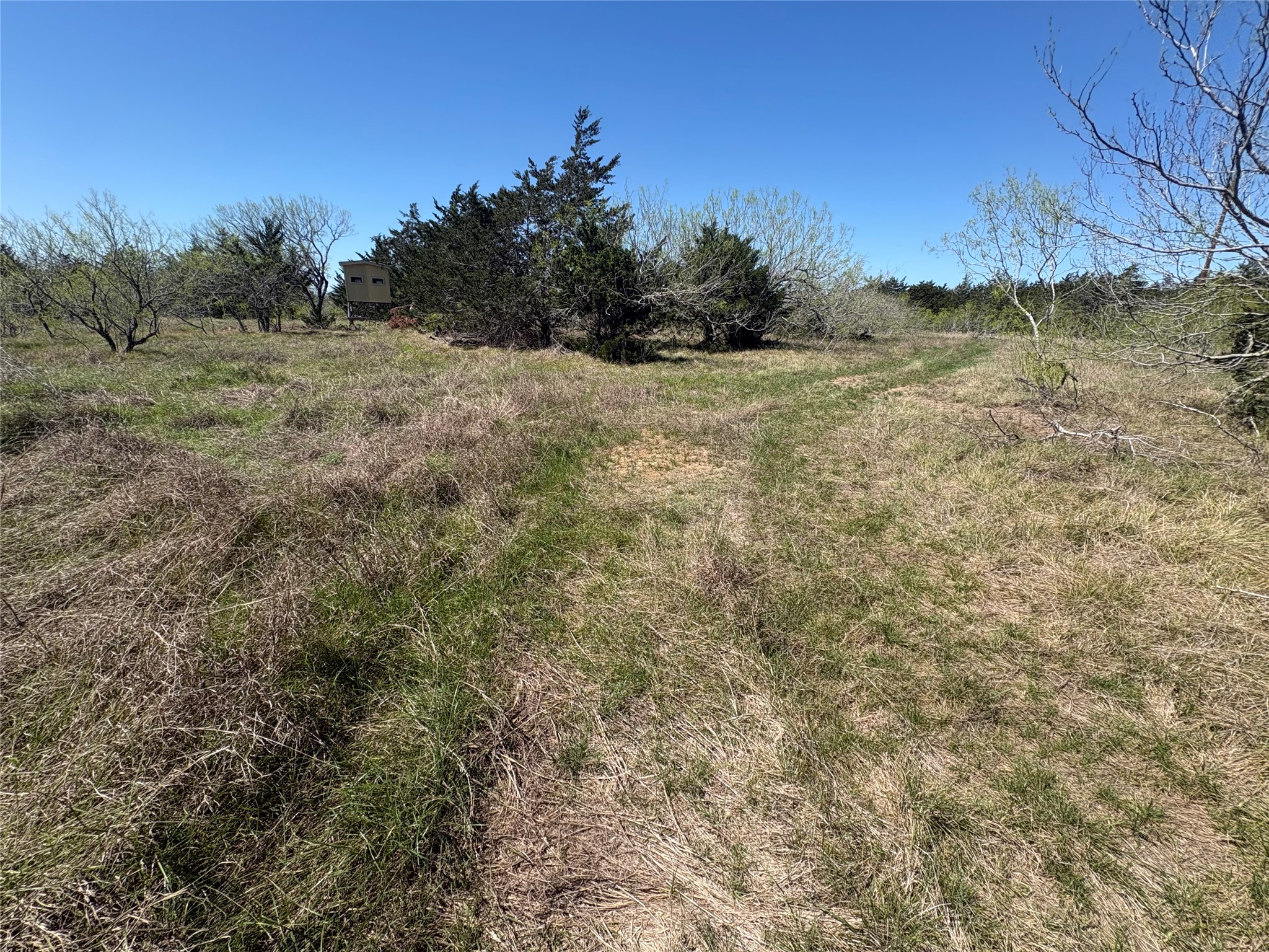 Tbd Patterson Road Flatonia, TX 78941 - Photo 12 of 35 View of local wilderness featuring rural landscape
