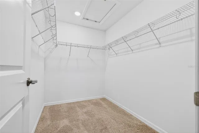 a view of a room with racks on the wall