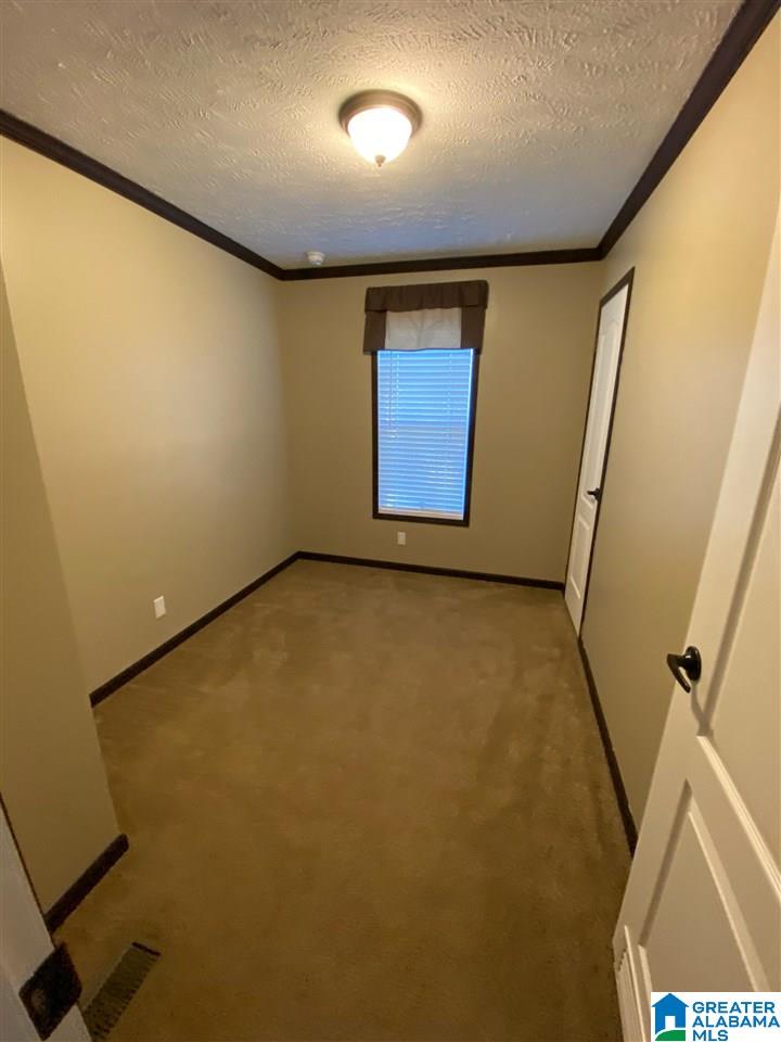 1100 Pleasant Valley Road Pell City, AL 35125 - Photo 23 of 44