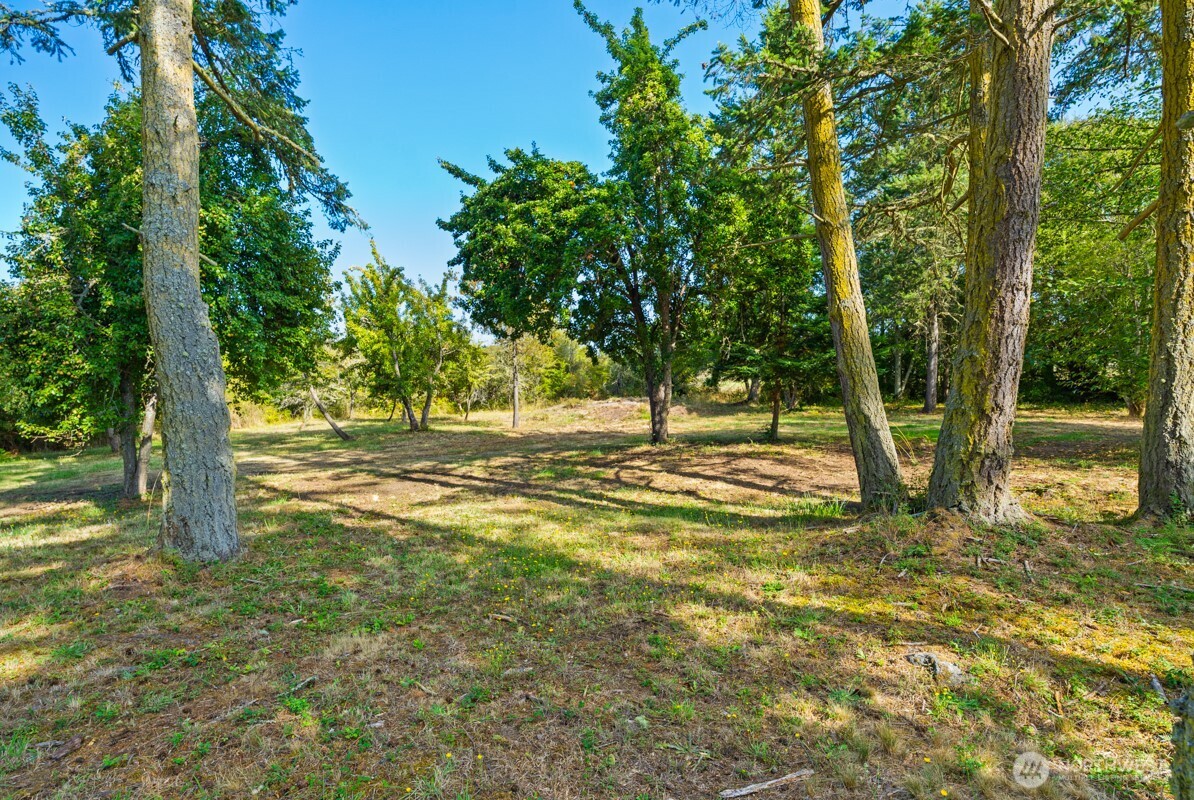 111 Baker Lane Friday Harbor, WA 98250 - Photo 16 of 39