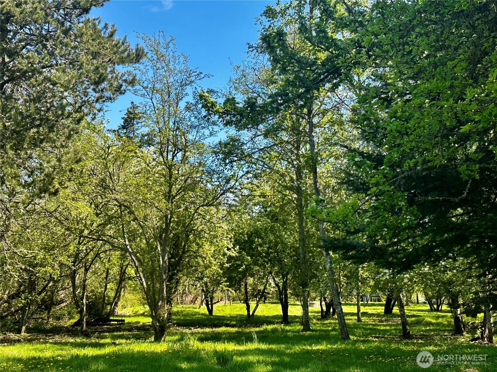 111 Baker Lane Friday Harbor, WA 98250 - Photo 17 of 39