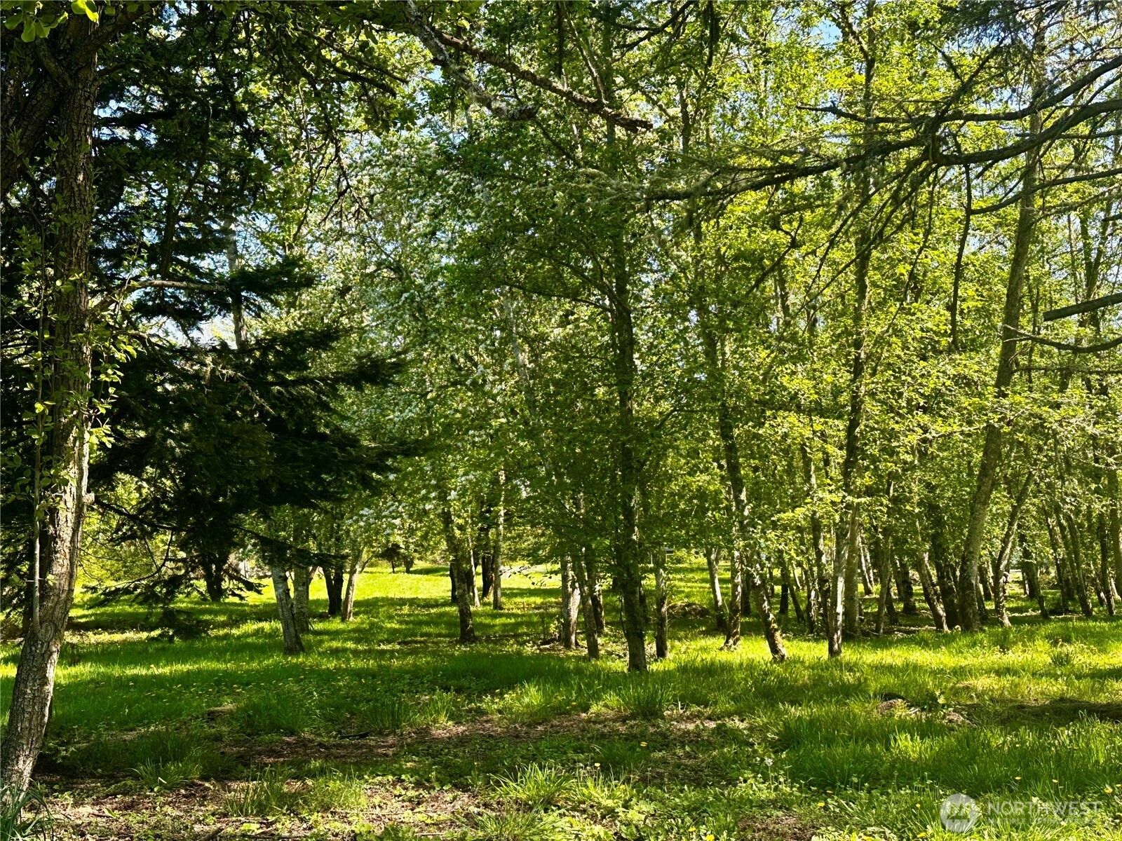 111 Baker Lane Friday Harbor, WA 98250 - Photo 18 of 39