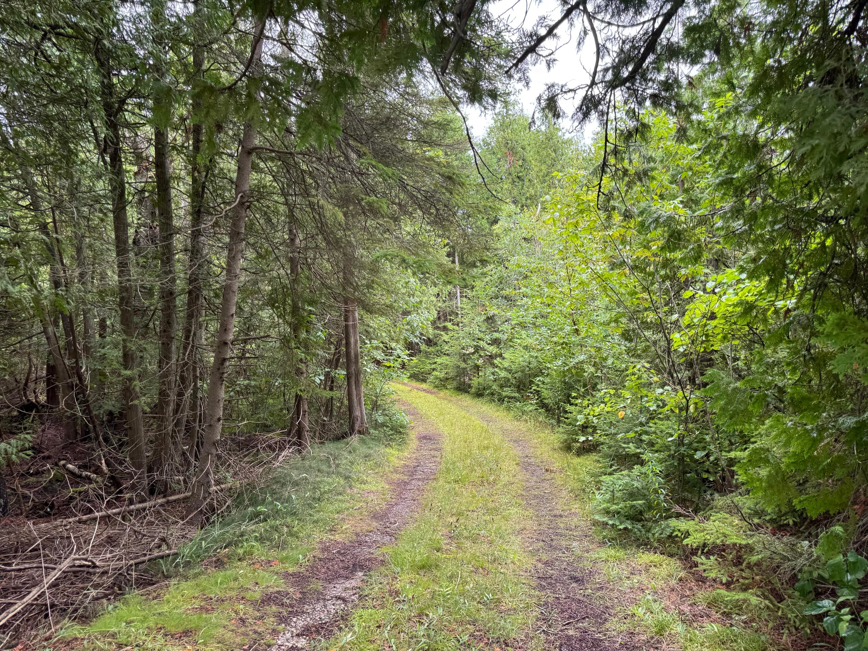 Lot 1 Pte La Barbe Rd Street St. Ignace, MI 49781 - Photo 6 of 13 Gallery Image 6