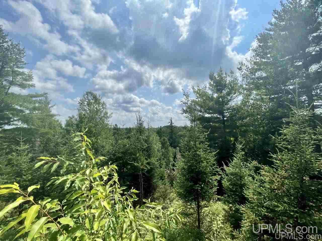 161 Ponozzo Road Iron River, MI 49935 - Photo 12 of 12 Gallery Image 12