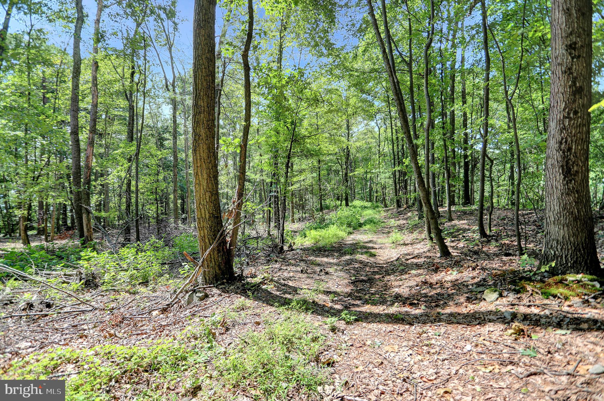 0 Sand Valley Road Richfield, PA 17086 - Photo 9 of 20 Gallery Image 9