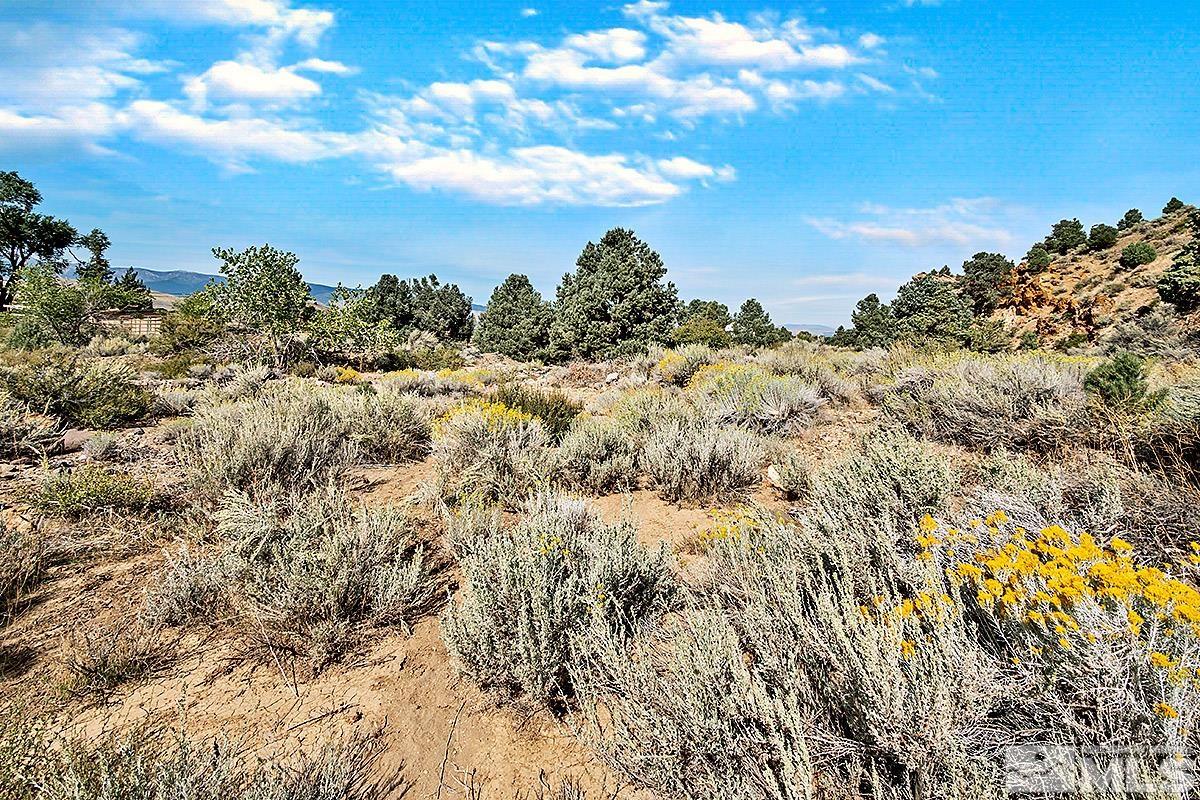 15866 Toll Road Reno, NV 89521 - Photo 28 of 29 a view of a bunch of trees