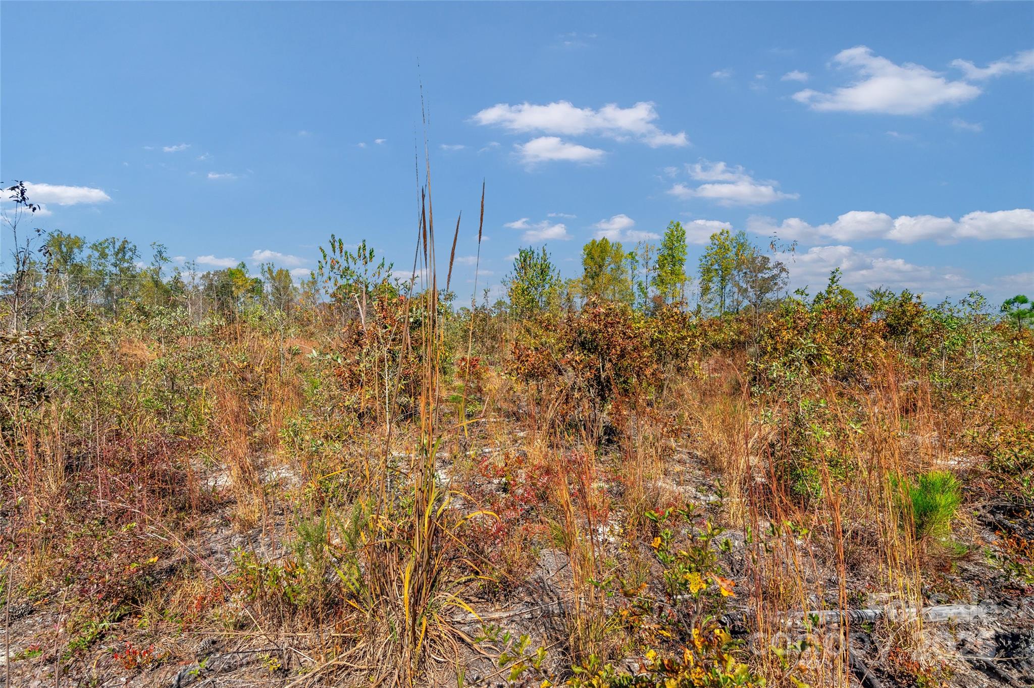 0 Riley Road, Unit 3 Chesterfield, SC 29709 - Photo 14 of 24 a view of a city