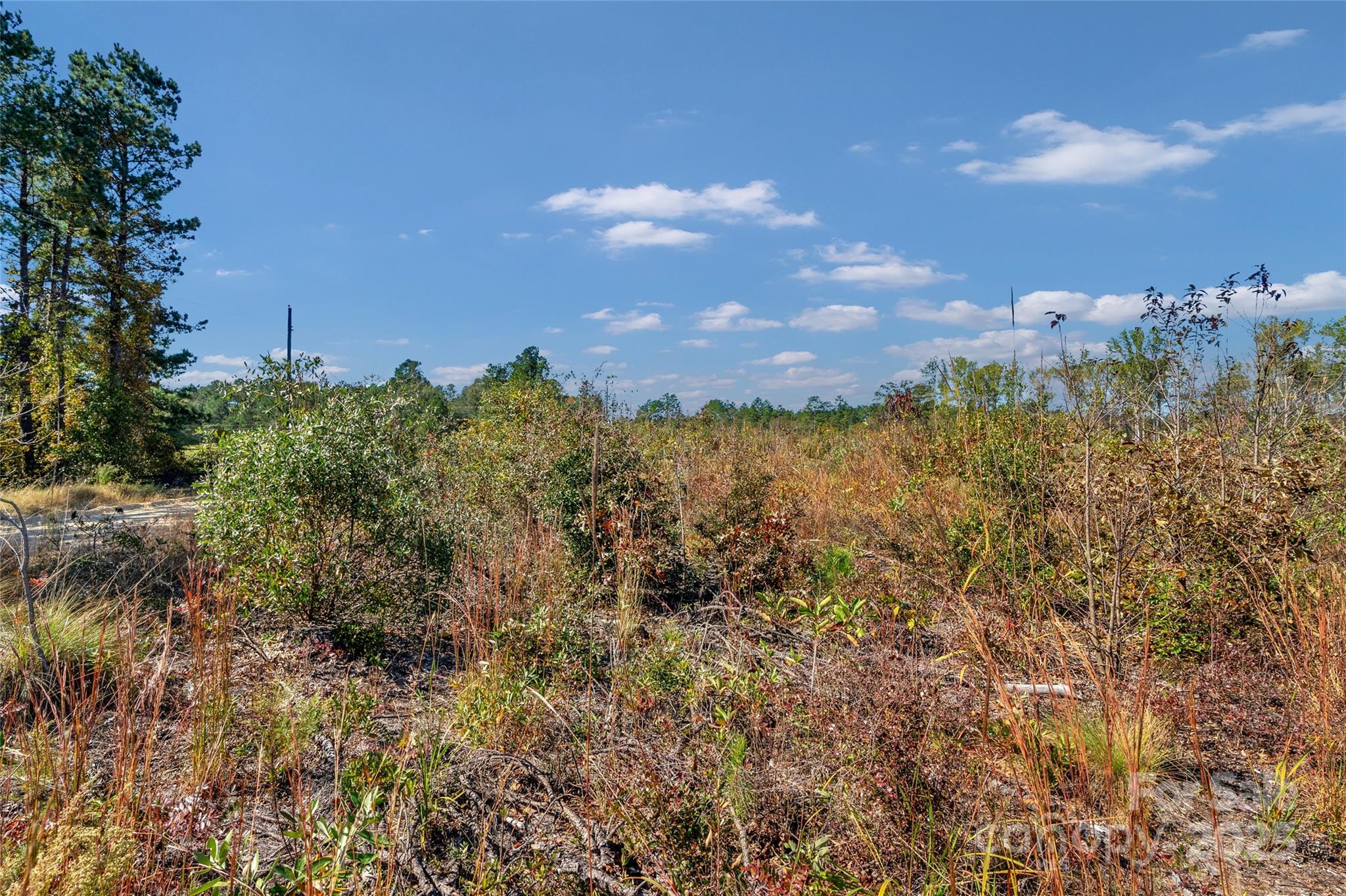 0 Riley Road, Unit 3 Chesterfield, SC 29709 - Photo 15 of 24 a view of a city