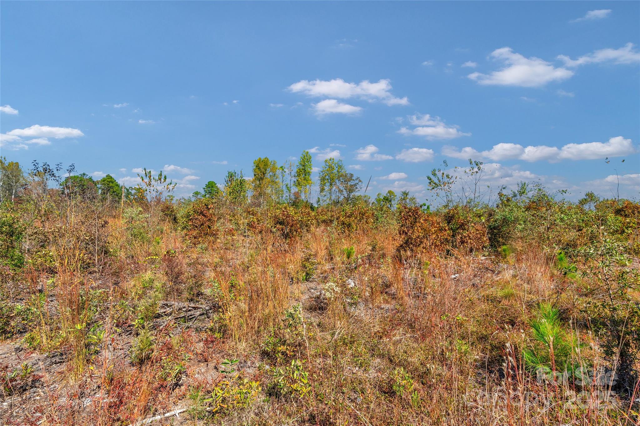 0 Riley Road, Unit 3 Chesterfield, SC 29709 - Photo 17 of 24 a view of a city