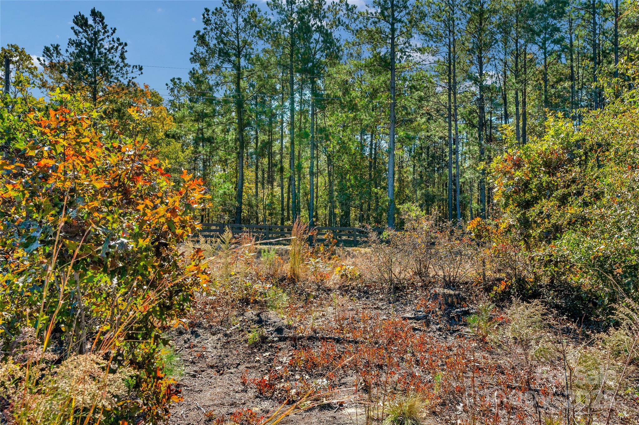 0 Riley Road, Unit 3 Chesterfield, SC 29709 - Photo 5 of 24 a view of backyard with green space
