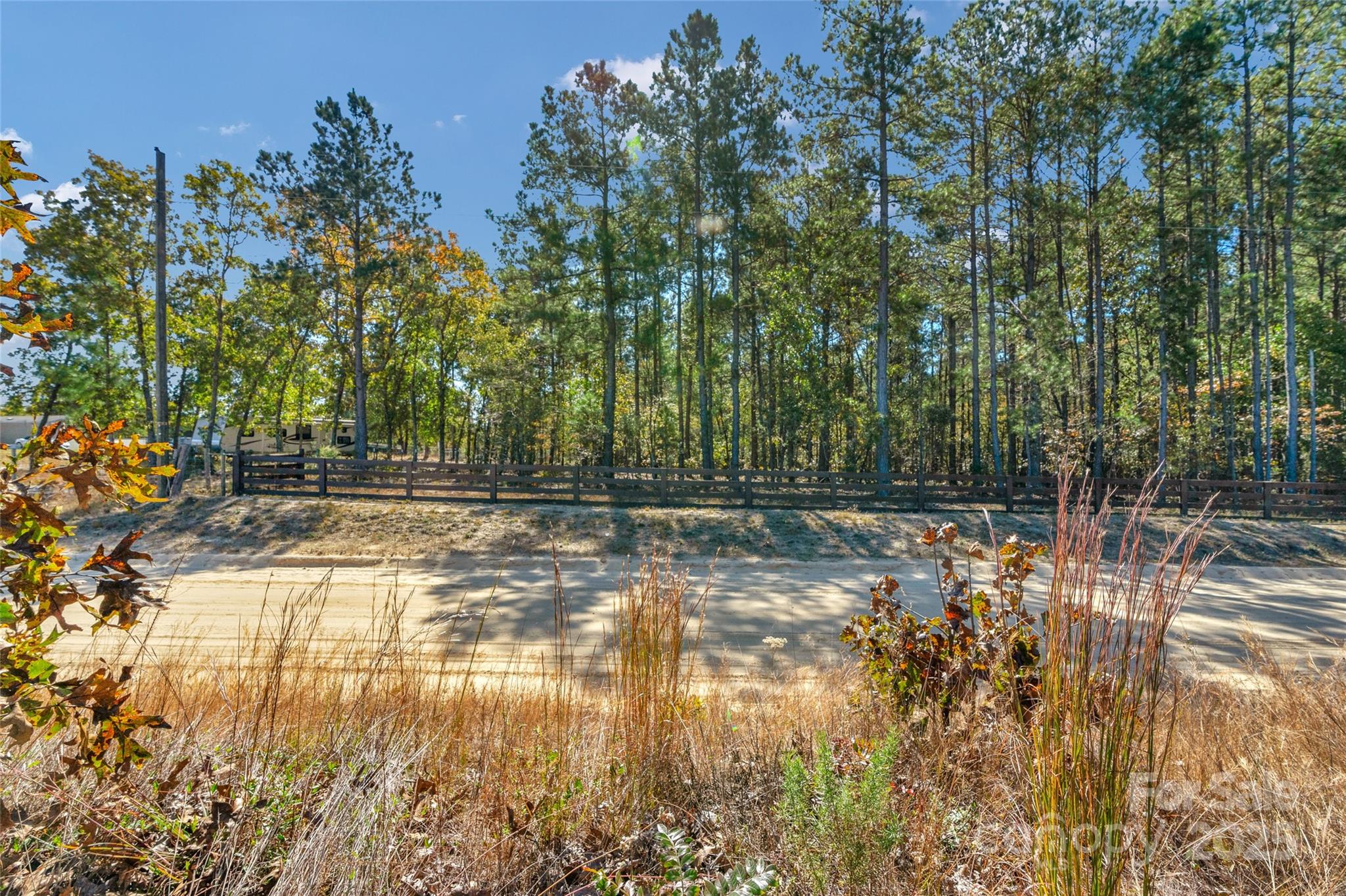 0 Riley Road, Unit 3 Chesterfield, SC 29709 - Photo 6 of 24 a view of yard