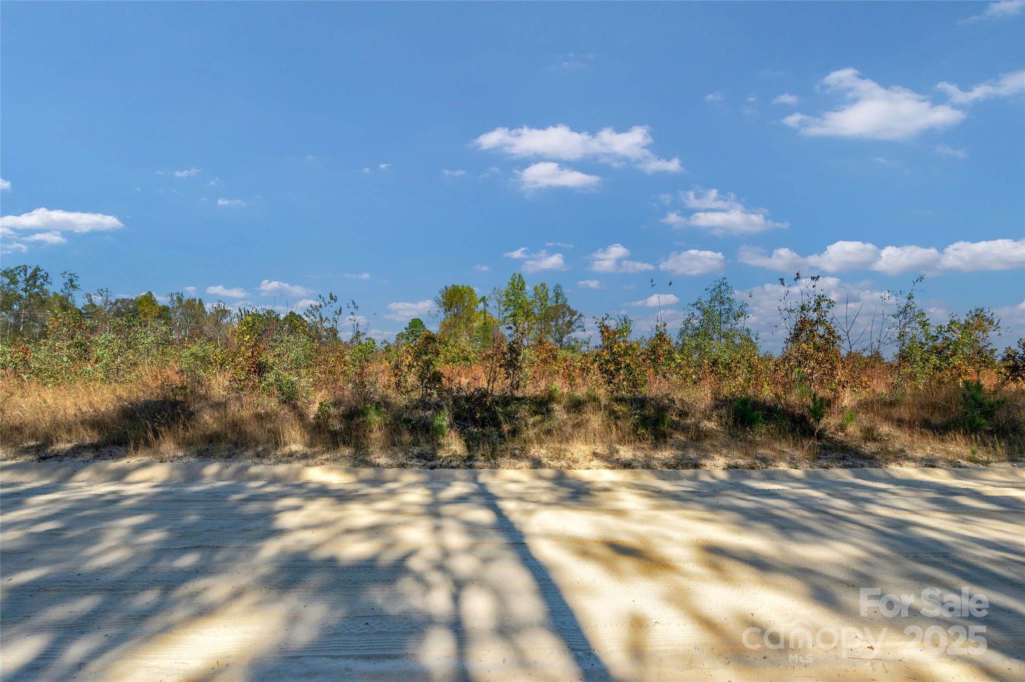 0 Riley Road, Unit 3 Chesterfield, SC 29709 - Photo 10 of 24 a view of a city with lots of trees