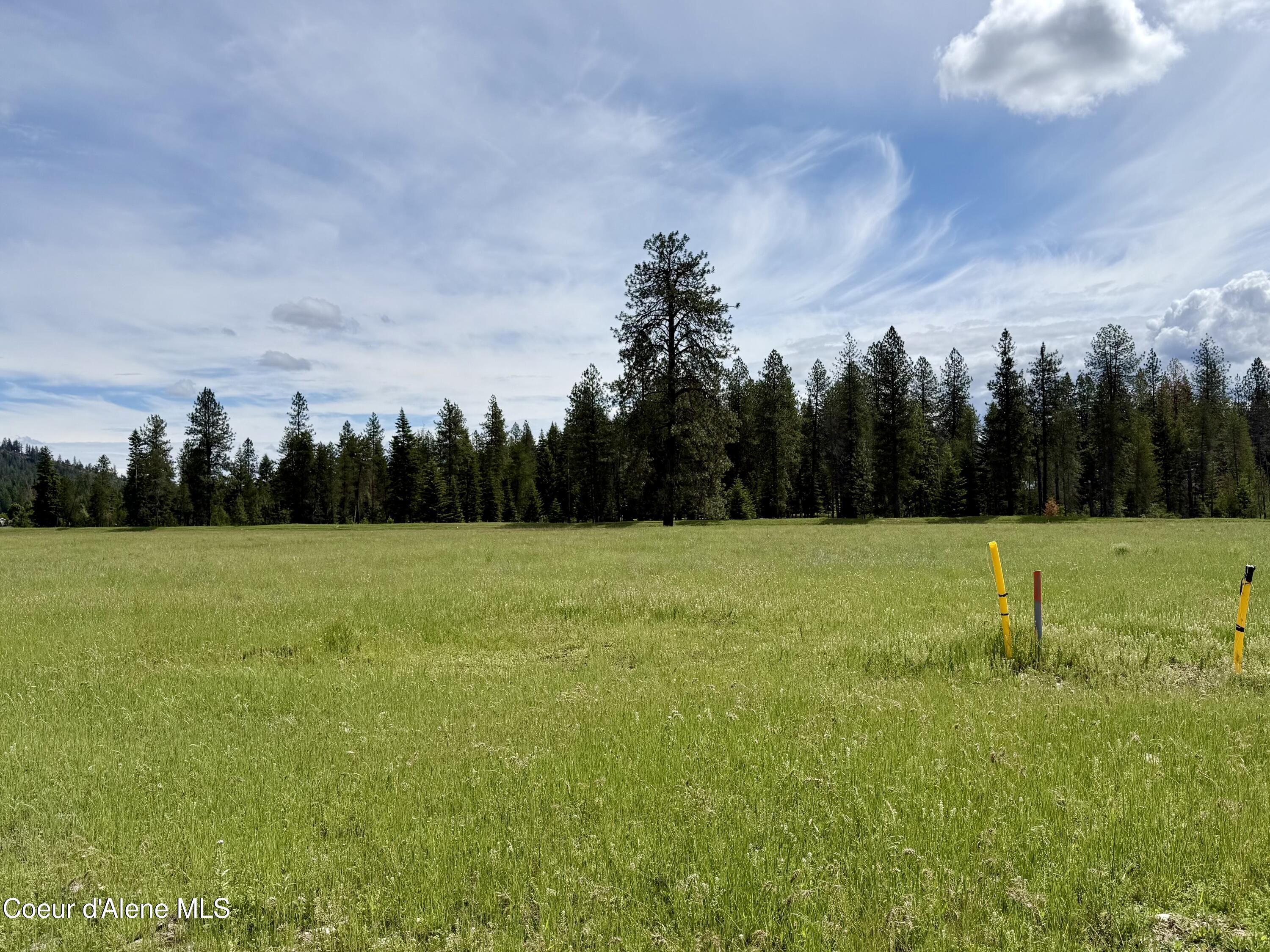 Lot 12 North Stonemason Way Rathdrum, ID 83858 - Photo 4 of 6 Level, open acreage.