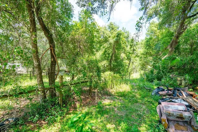 a backyard of a house with lots of plants and trees