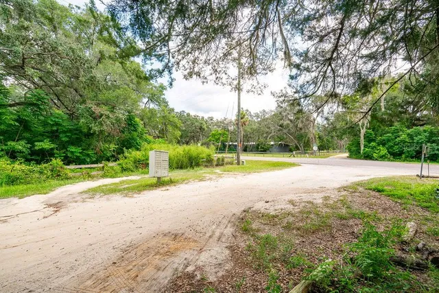 a view of a yard with palm trees
