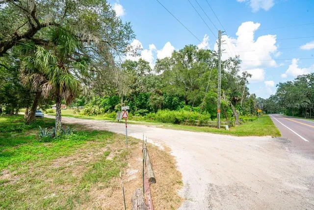 a view of a yard with yellow lighting