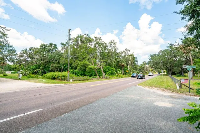a view of a road with a yard and a large trees