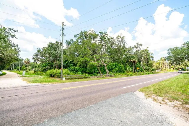 a view of a yard with large trees
