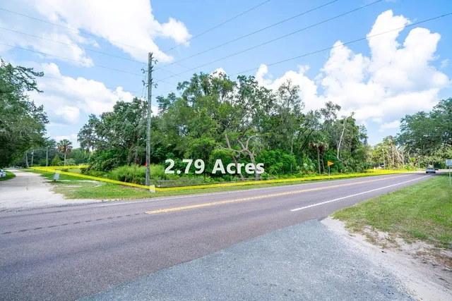 a view of a park with large trees