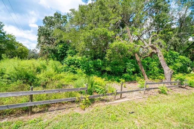 a view of a yard with plants and large trees